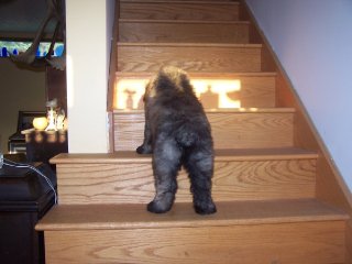 Larry on the stairs
